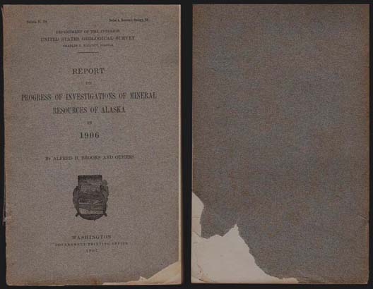 Progress of Investigations of Minerals of Alaska in 1906