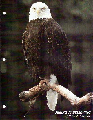 1984 Brunton Binoculars Catalog